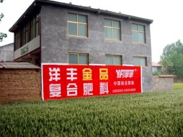 新郑如何让墙体广告展现最大化效果